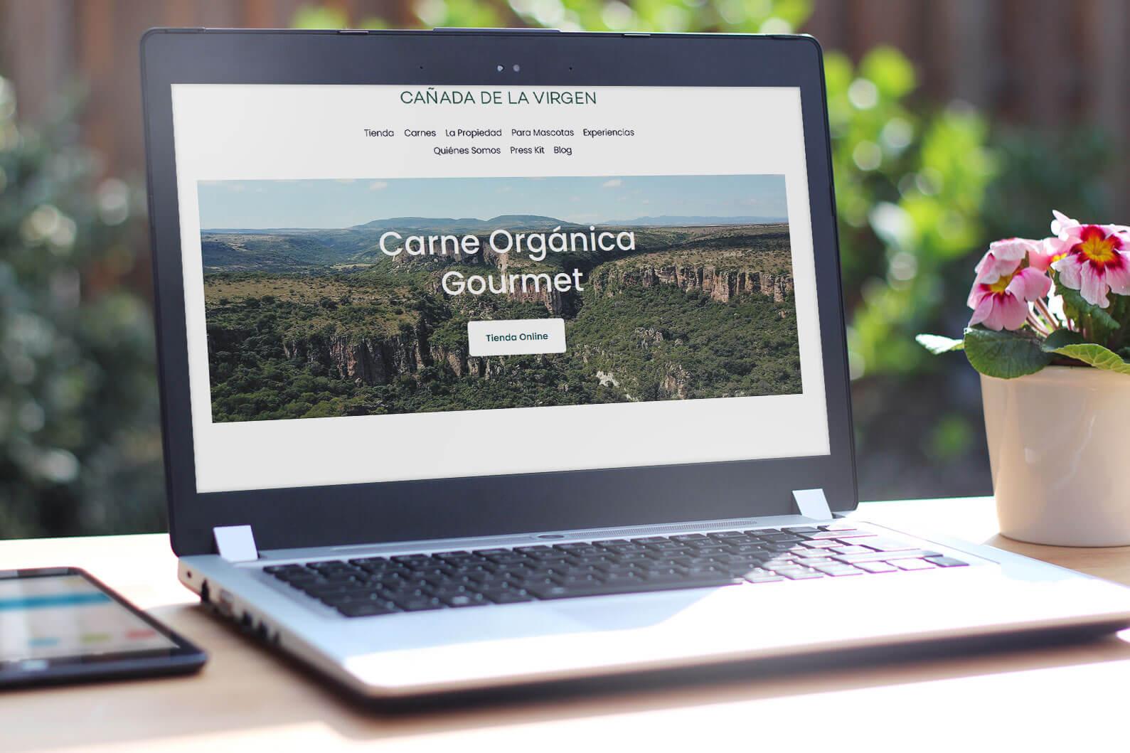 Cañada de la virgen, cliente de Copyleft México.